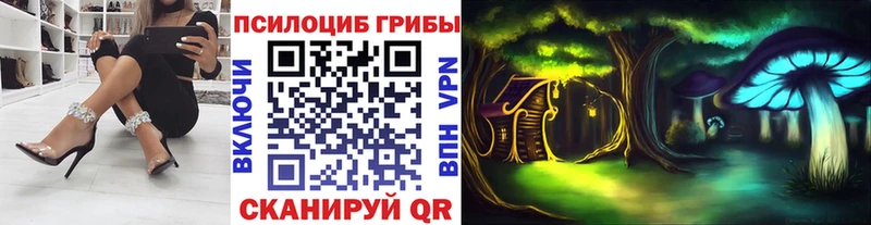 Галлюциногенные грибы Psilocybe Купить закладки Артёмовский